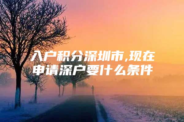 入户积分深圳市,现在申请深户要什么条件