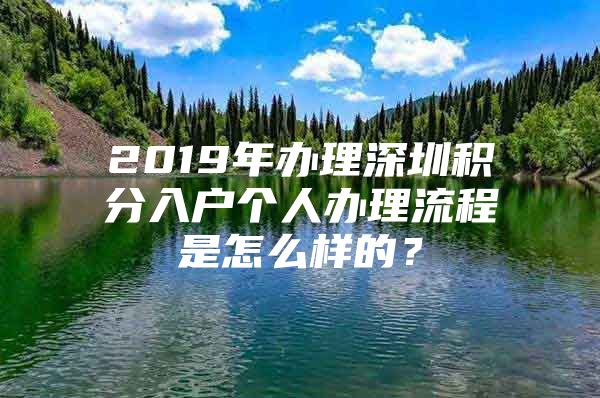 2019年办理深圳积分入户个人办理流程是怎么样的？