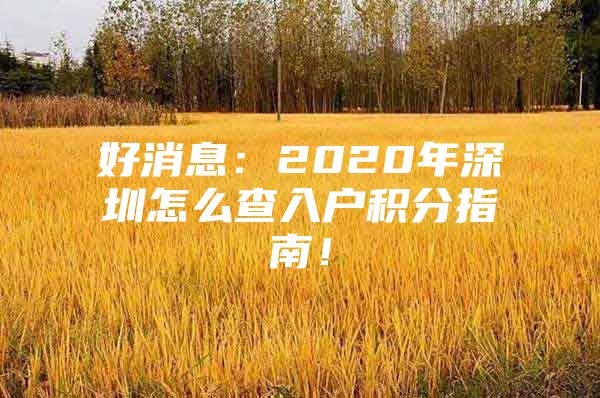 好消息：2020年深圳怎么查入户积分指南！