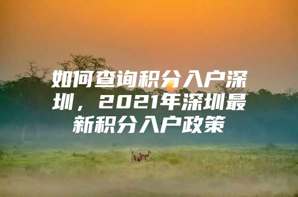 如何查询积分入户深圳，2021年深圳最新积分入户政策