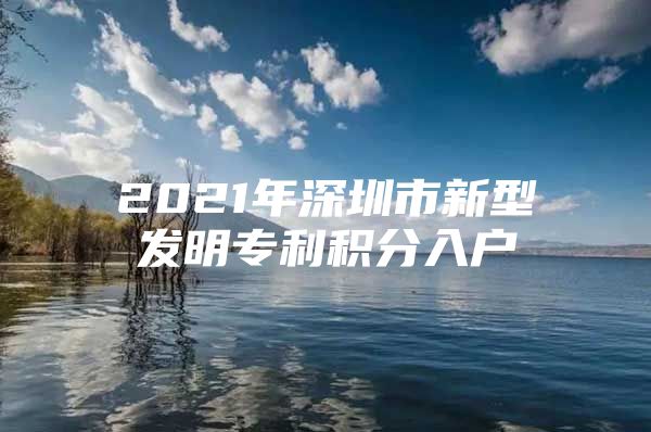 2021年深圳市新型发明专利积分入户