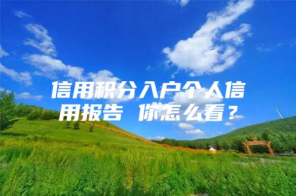 信用积分入户个人信用报告 你怎么看？