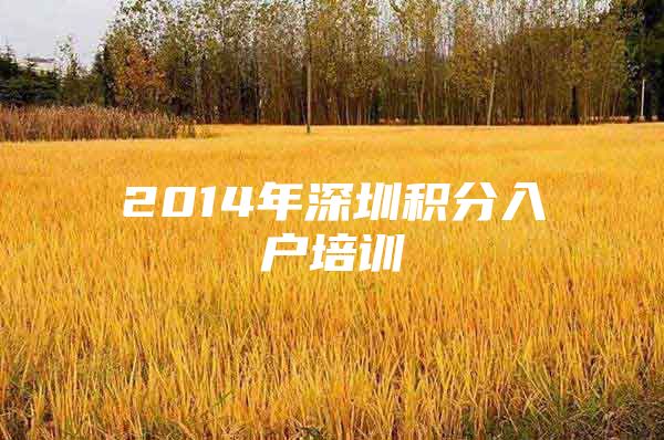 2014年深圳积分入户培训