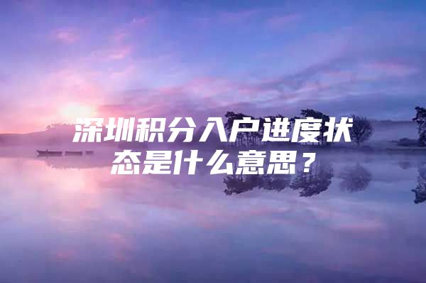 深圳积分入户进度状态是什么意思？