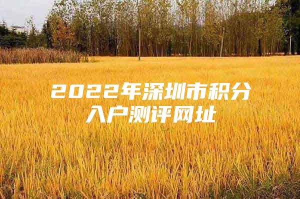 2022年深圳市积分入户测评网址