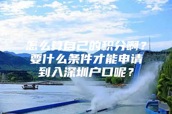 怎么算自己的积分啊？要什么条件才能申请到入深圳户口呢？